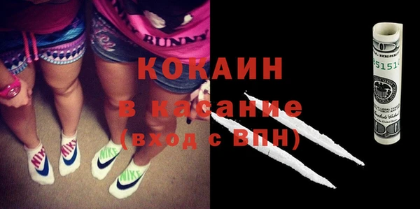 индика Балабаново