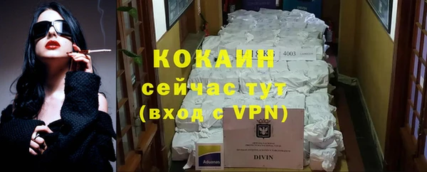 прущие грибы Баксан
