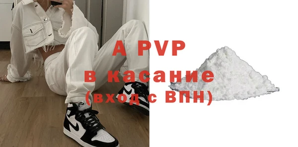 прущие грибы Баксан