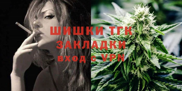 прущие грибы Баксан