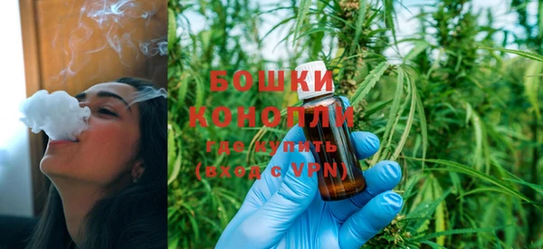индика Балабаново