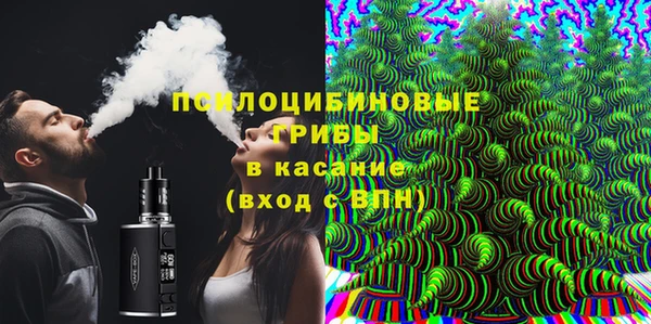 прущие грибы Баксан