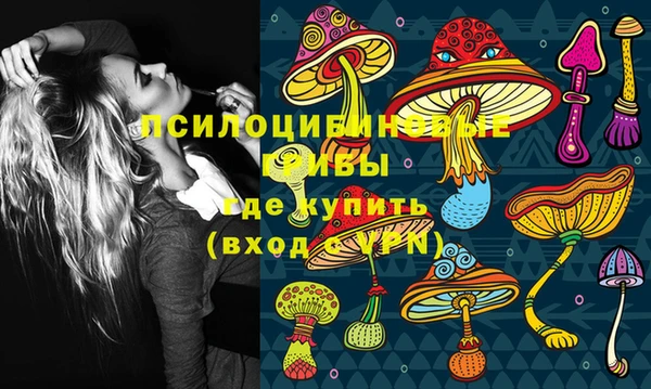 индика Балабаново