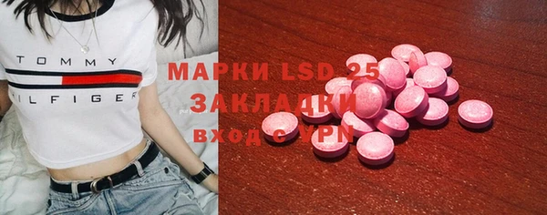 прущие грибы Баксан