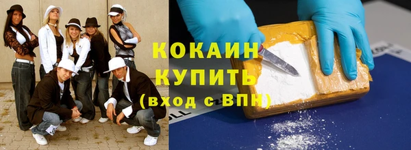 прущие грибы Баксан
