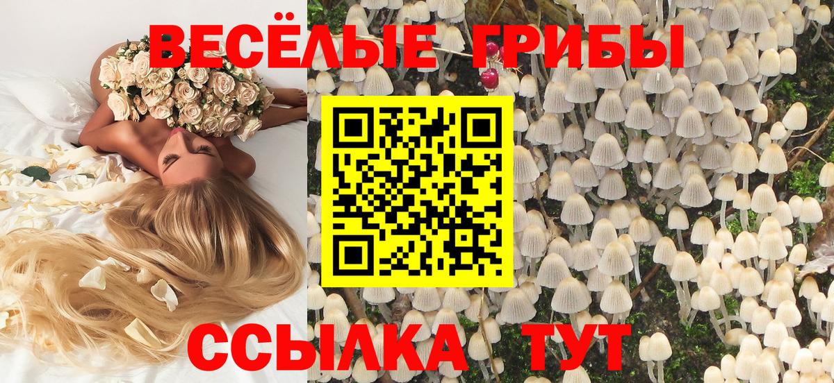 Галлюциногенные грибы Cubensis Губаха