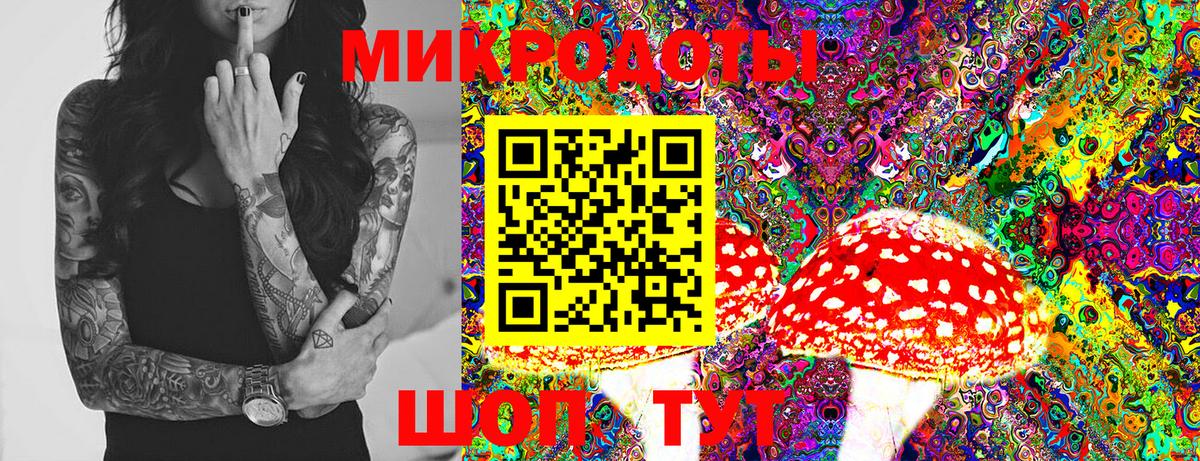 Псилоцибиновые грибы Cubensis  Вход с VPN  Галлюциногенные грибы Psilocybine cubensis  Губаха 